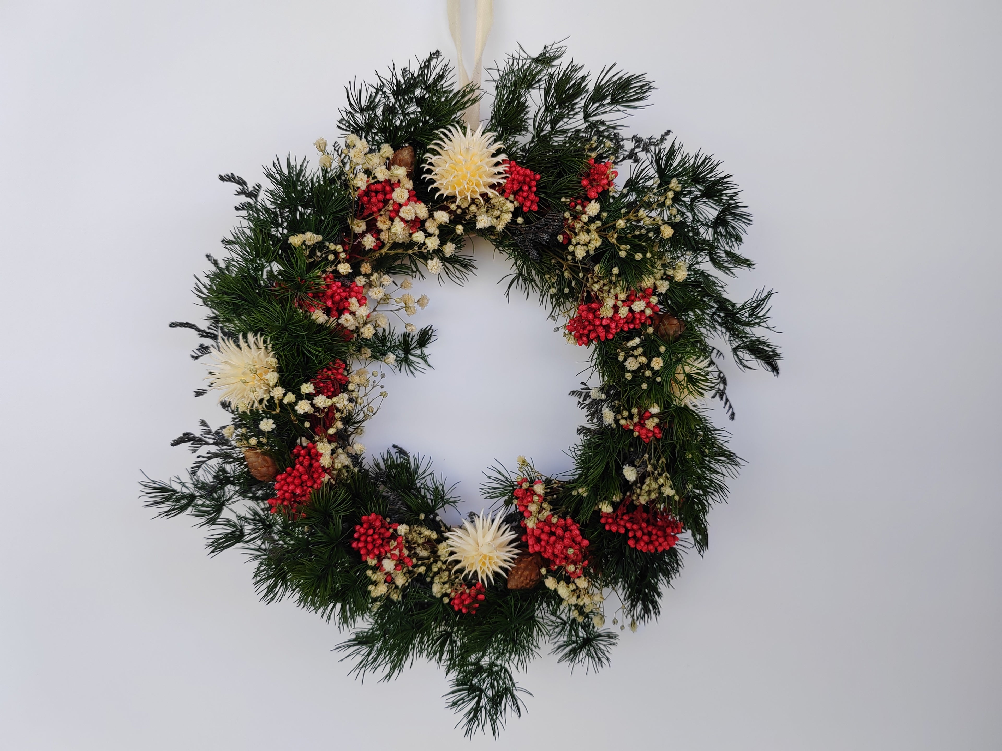 Winterberry glow 2.0